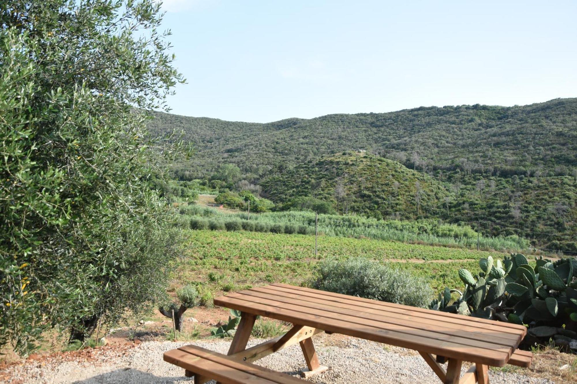 Апартаменти Elba Borgo Di Latrano Magazzini  Екстер'єр фото
